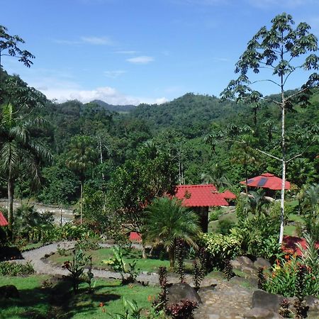 Pacuare River Lodge Bajo Tigre Exterior foto