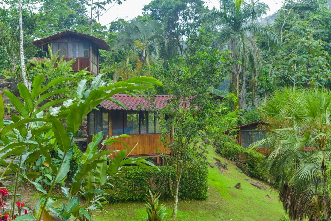 Pacuare River Lodge Bajo Tigre Exterior foto