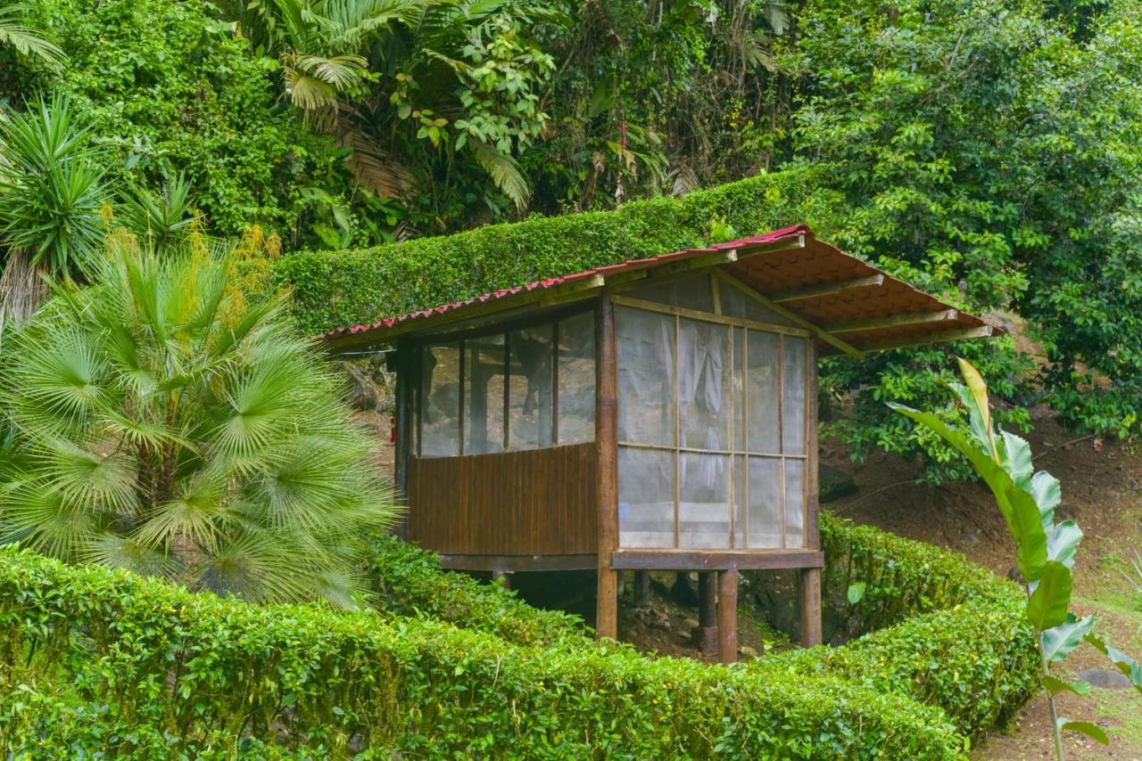 Pacuare River Lodge Bajo Tigre Exterior foto