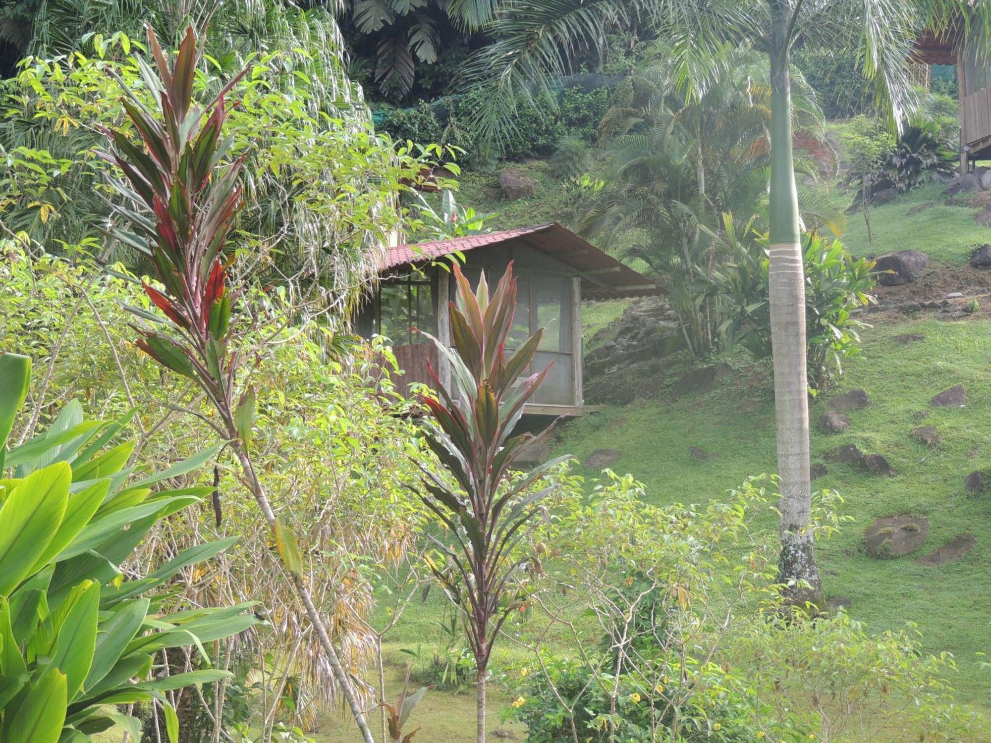Pacuare River Lodge Bajo Tigre Exterior foto
