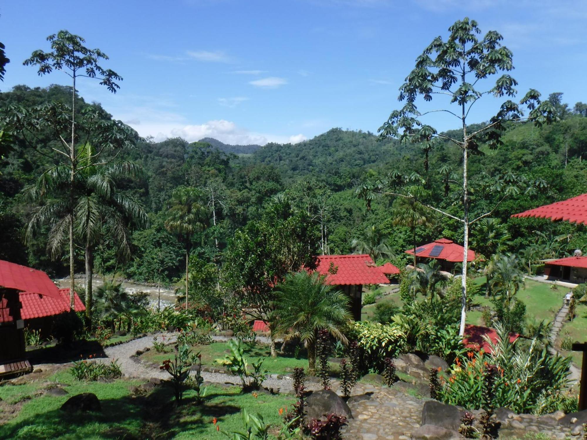 Pacuare River Lodge Bajo Tigre Exterior foto