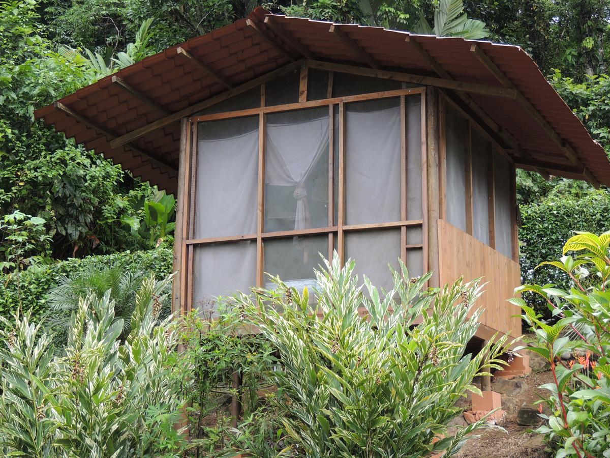 Pacuare River Lodge Bajo Tigre Exterior foto