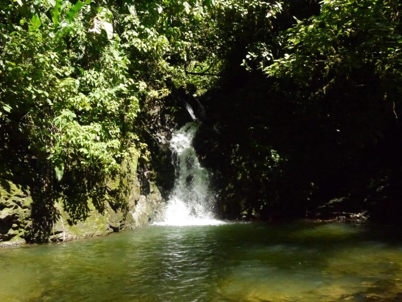 Pacuare River Lodge Bajo Tigre Exterior foto